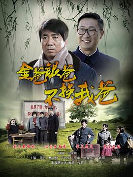 平凡的岁月海报
